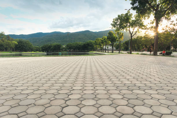 Best Residential Paver Driveway  in Hillsborough, NJ